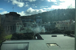 Muškarac se zapalio ispred novozelandskog parlamenta