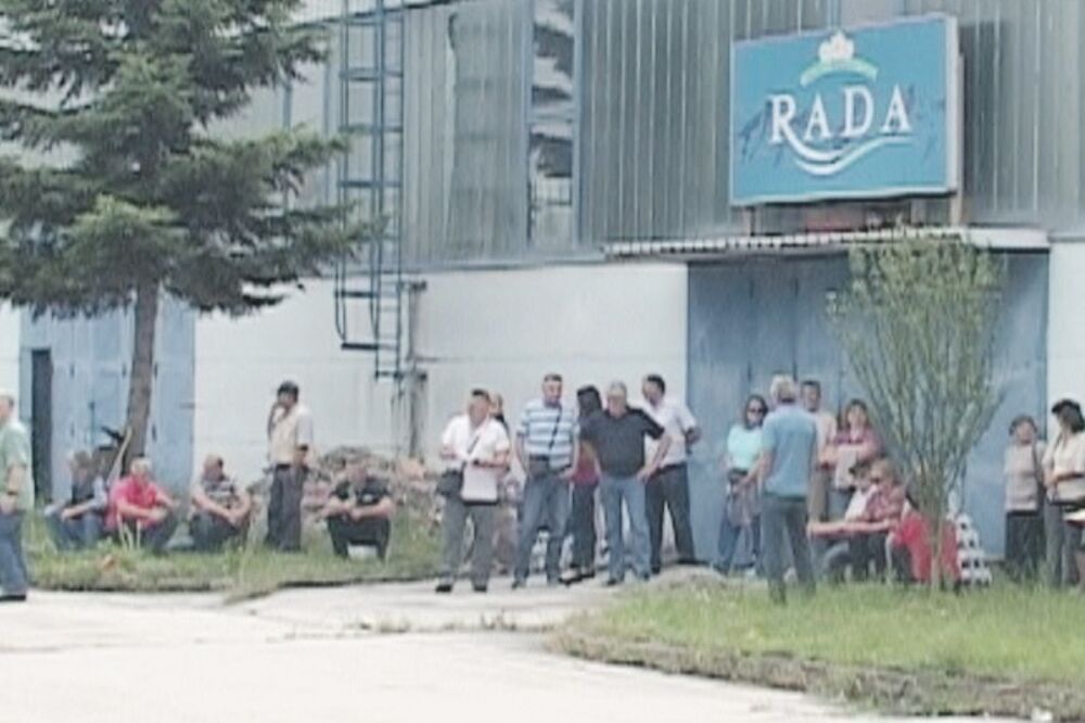 Bjelasica rada, Foto: Jadranka Ćetković