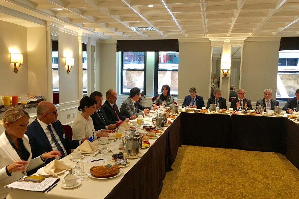 Srđan Darmanović Njujork, Foto: Ministarstvo vanjskih poslova