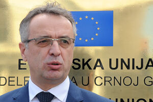 Danilović: Nećemo mirno gledati kako se u opoziciji svađamo