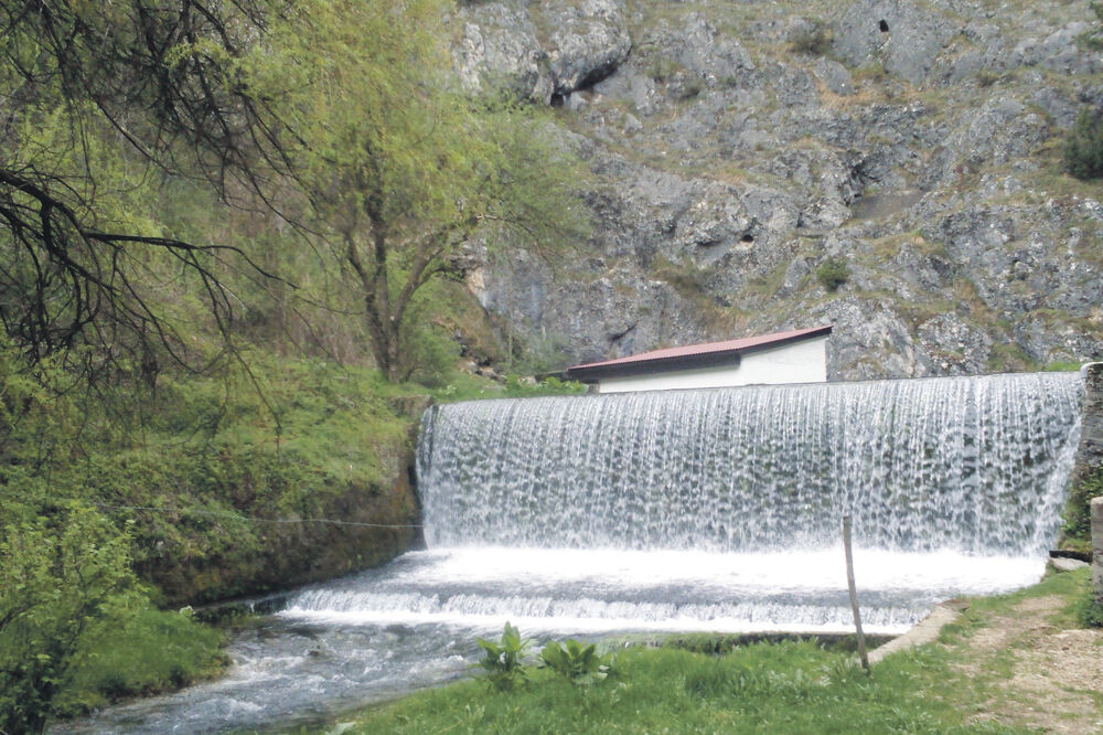 Breznica, Foto: Goran Malidžan