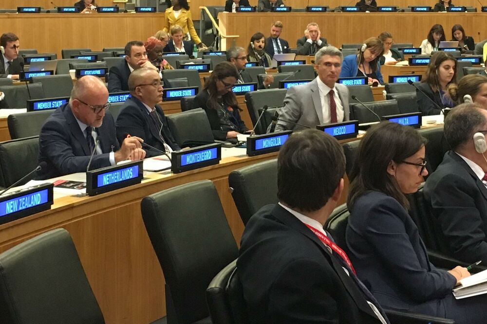 Srđan Darmanović, Foto: Mvp.gov.me