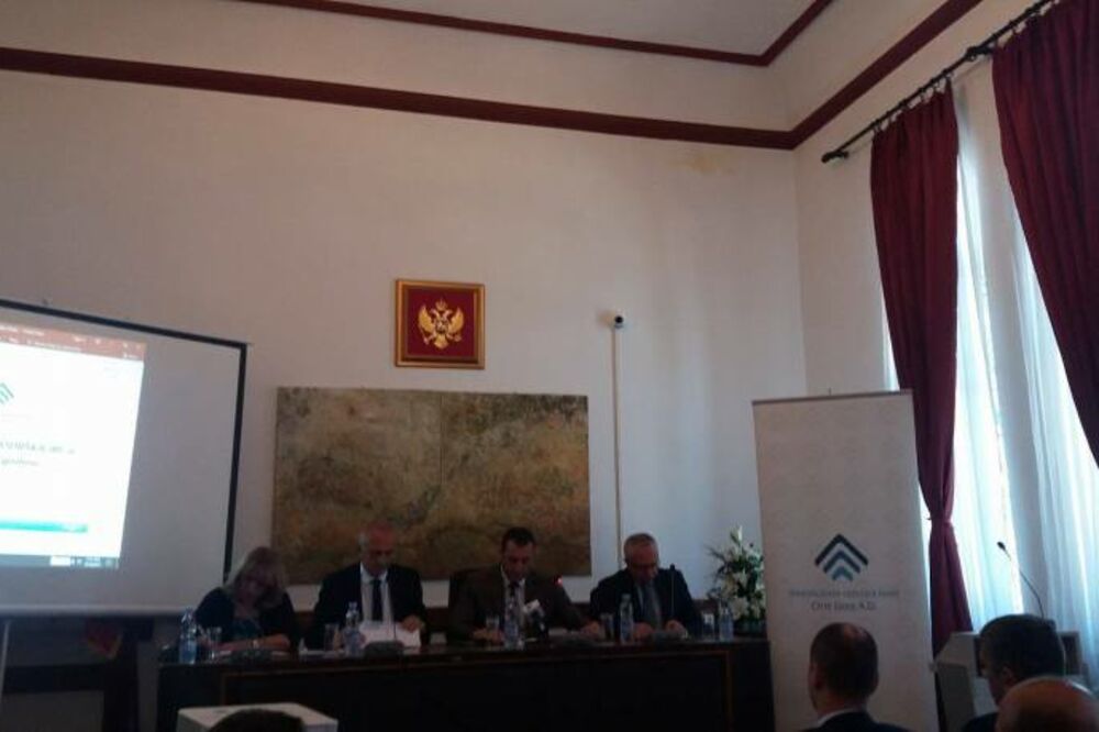 projekat, ZZZCG, Foto: Tufik Softić