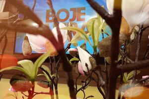 Boje jutra: Pogledajte kako izgleda korito Ribnice i ulica Iva...