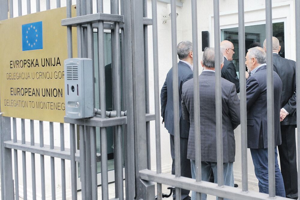 Delegacija EU, Foto: Savo Prelević
