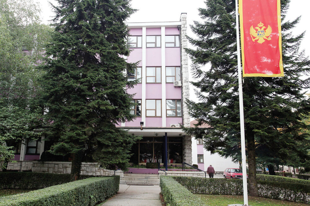 EPCG, Foto: Luka Zeković