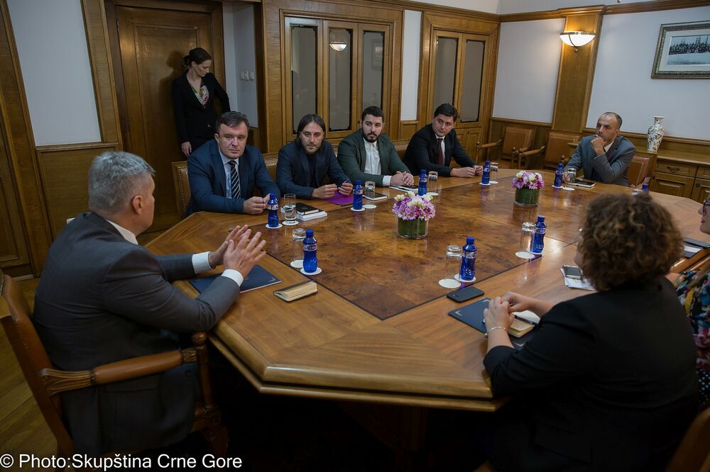 Ivan Brajović, NVO, Foto: Skupština Crne Gore