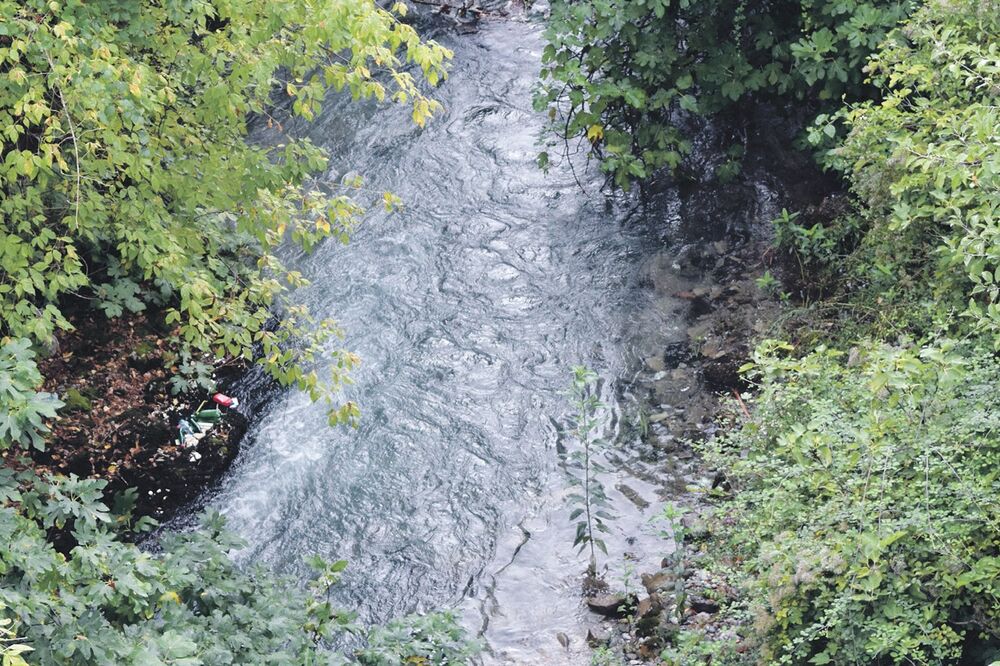 Ribnica, Foto: Luka Zeković