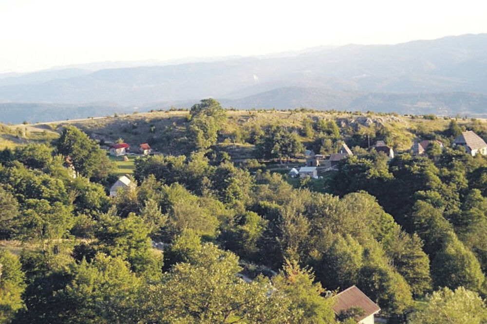 Crljenica, Foto: Goran Malidžan