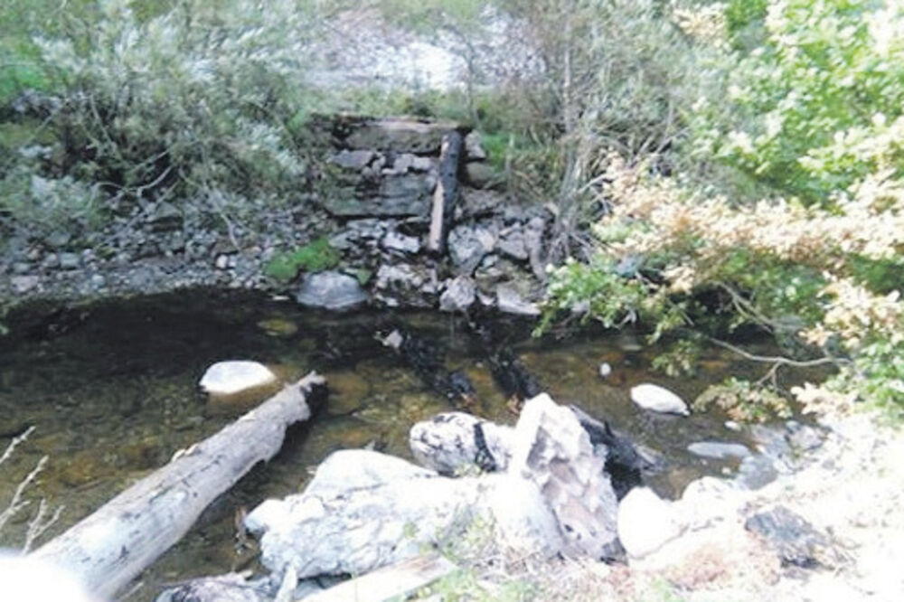 Svinjača, Foto: Privatna arhiva