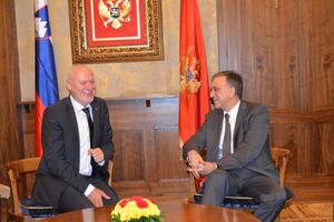 Brglez: Crna Gora se mora se maksimalno fokusirati na dostizanje...