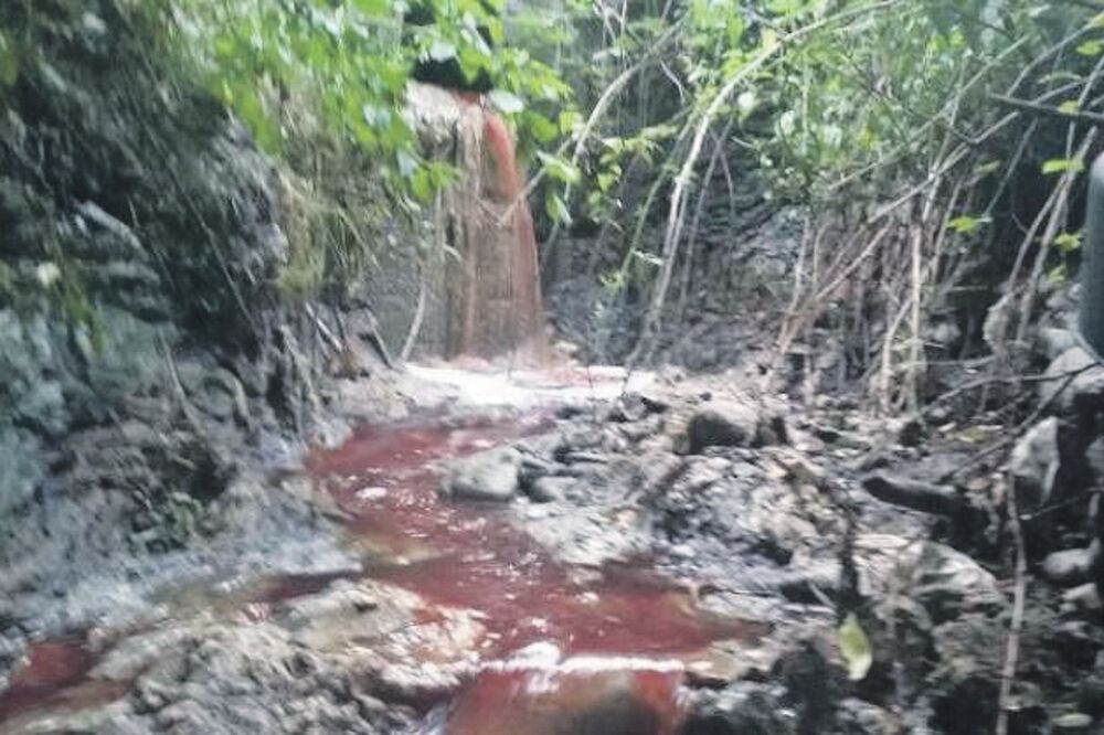 Lim, krv, Foto: Euromost