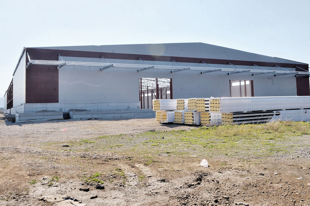 Novi duvanski kombinat, Foto: Savo Prelević