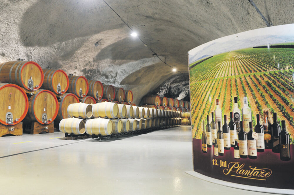 Plantaže, Foto: Savo Prelević