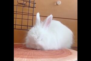 Nekada nije lako ostati na nogama