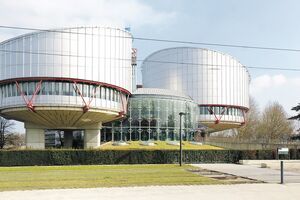 Država zbog Beranke da plati 6.000 eura