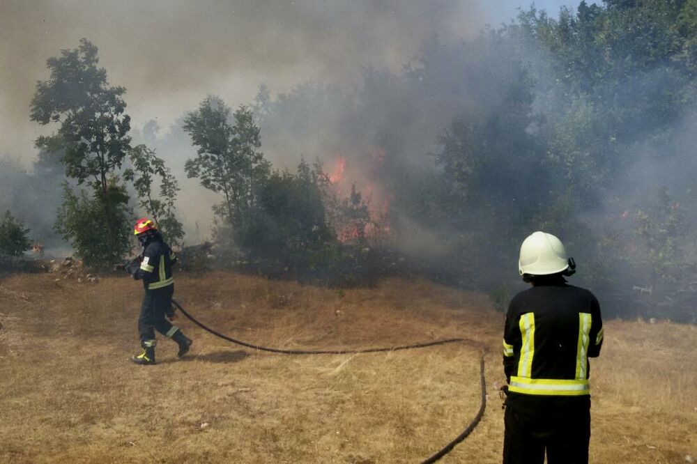 požar Lipova ravan, Foto: Privatna arhiva