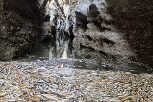 Kiša u nedjelju ne prekida sušu