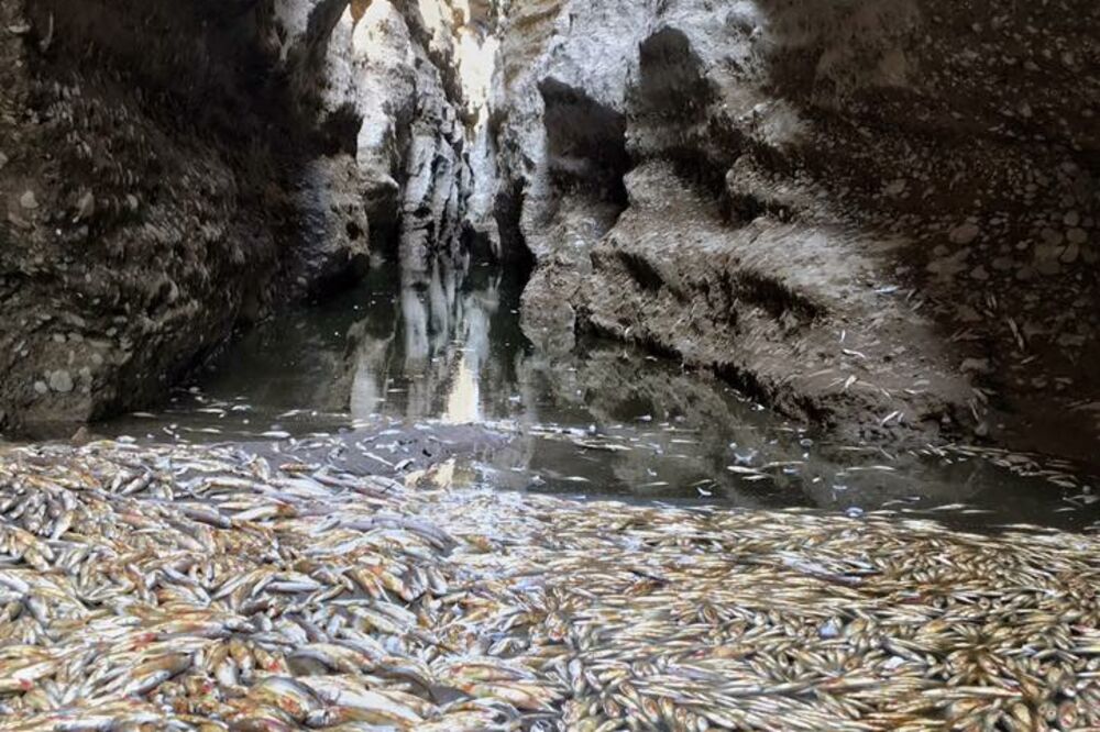 cijevna, Foto: Samir Kajošević