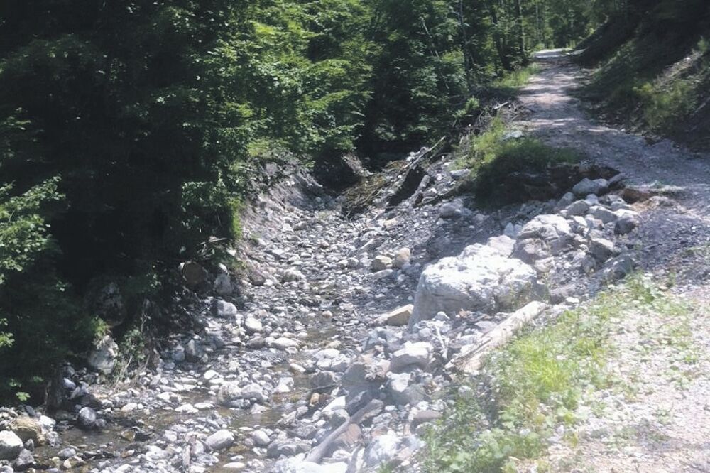 Male HE, Foto: NVO Perućica