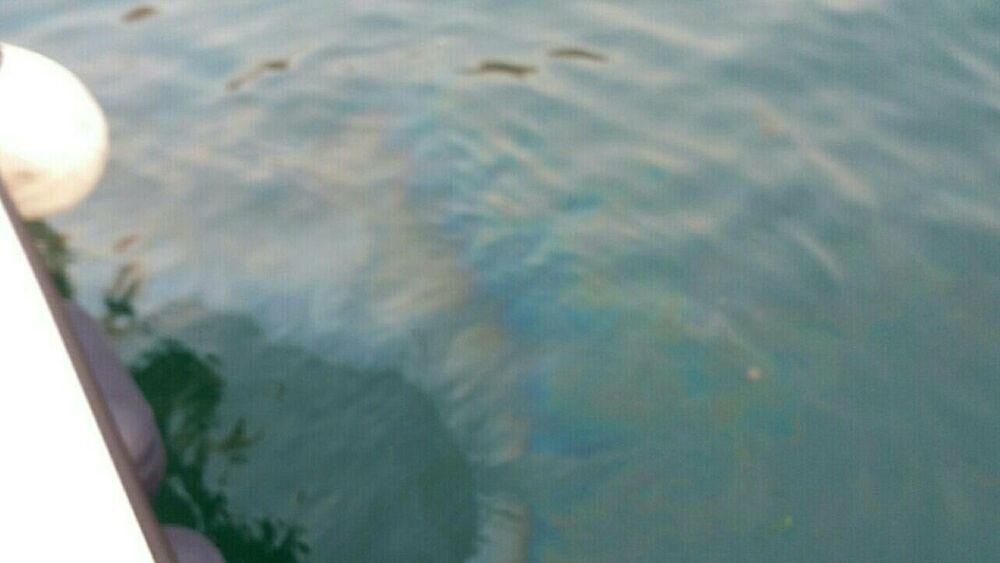 Žuta plaža zagađenje