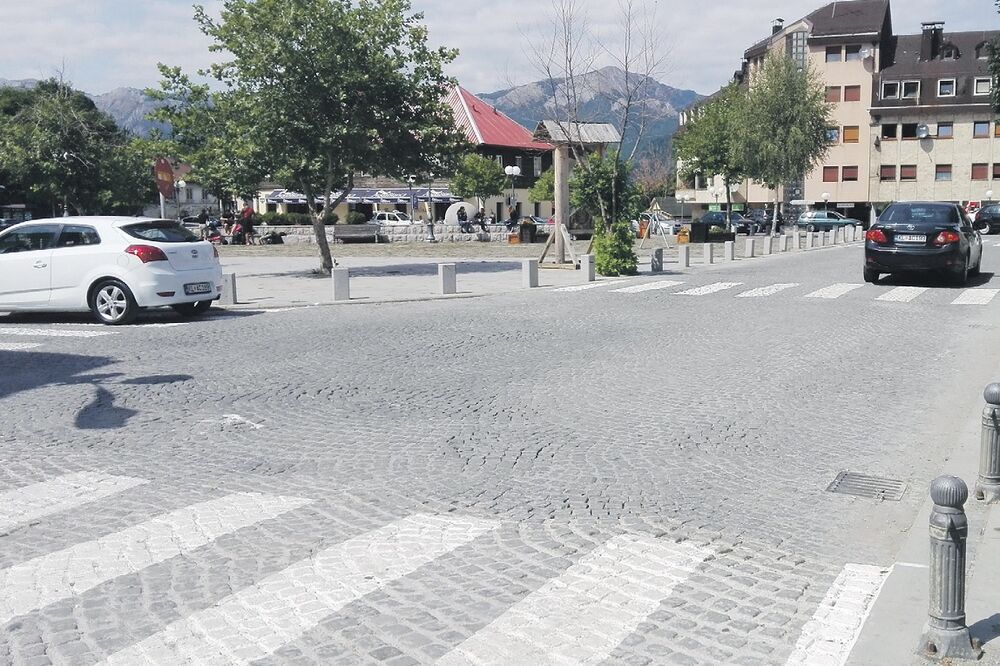 zebre, Kolašin, Foto: Dragana Šćepanović