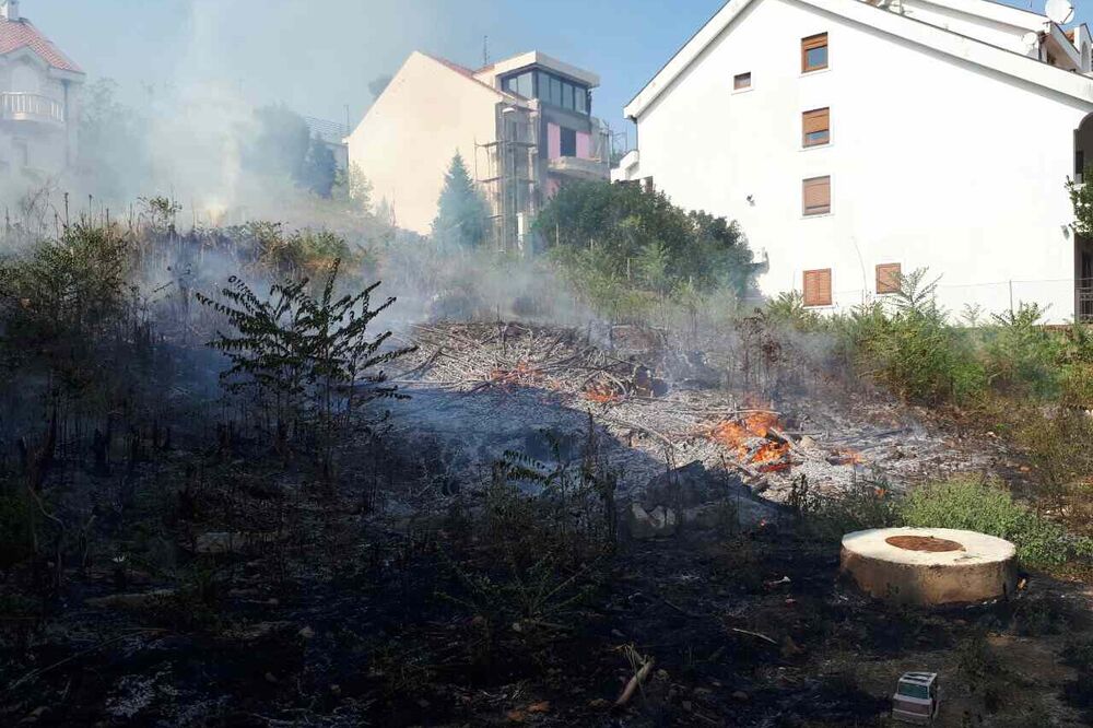 požar, Gorica, Foto: Služba zaštite i spasavanja Podgorica