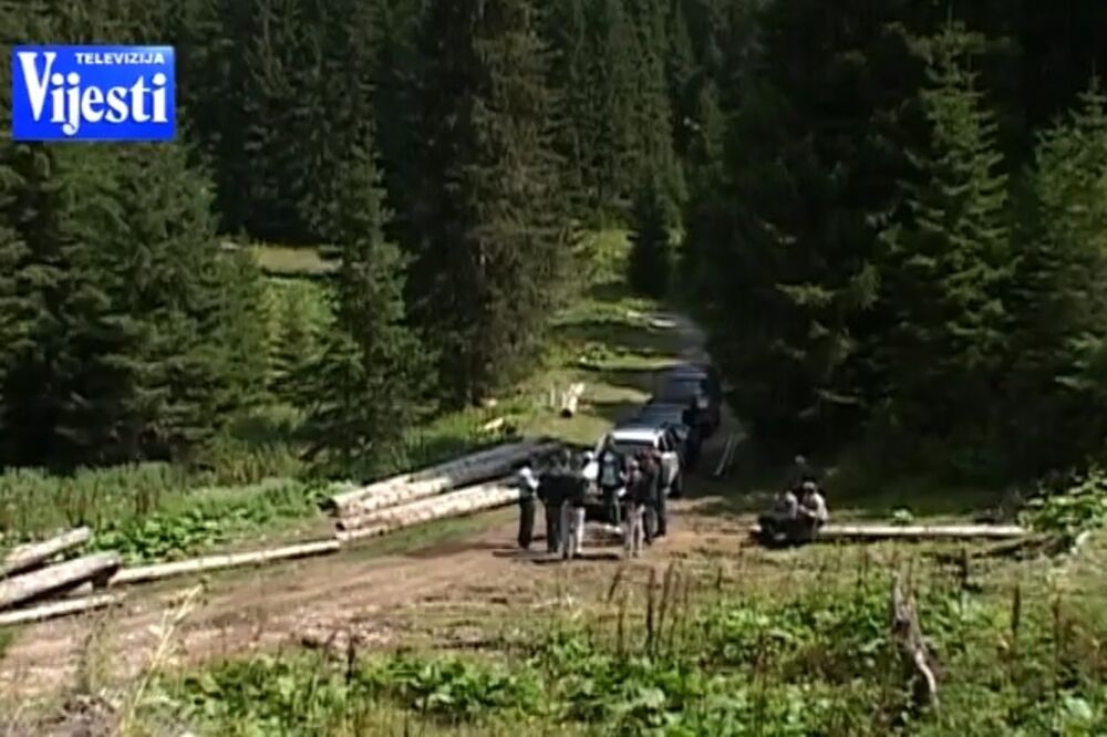 drvoprerađivači, Foto: Screenshot (YouTube)