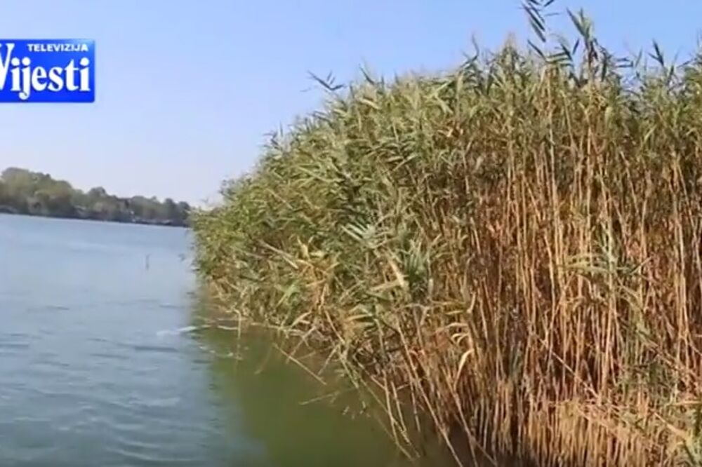 rijeka Bojana, Foto: Screenshot (YouTube)
