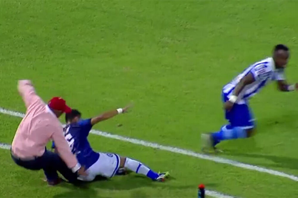 Trtener, Foto: Printscreen