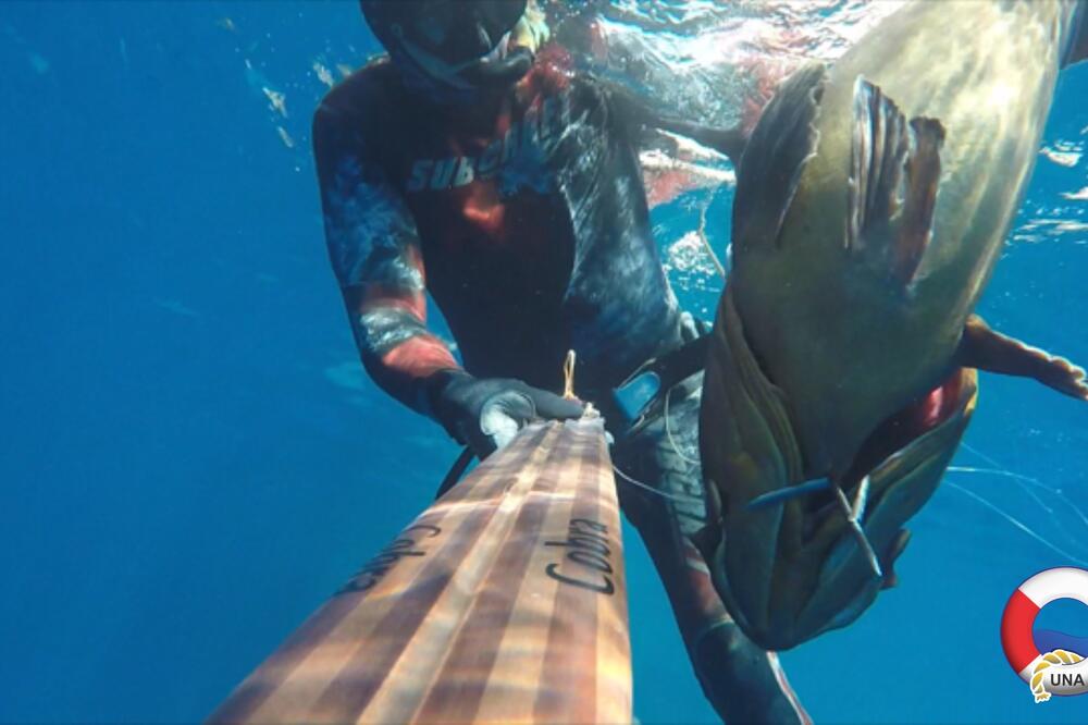 Božidar Grivić, Foto: UNA