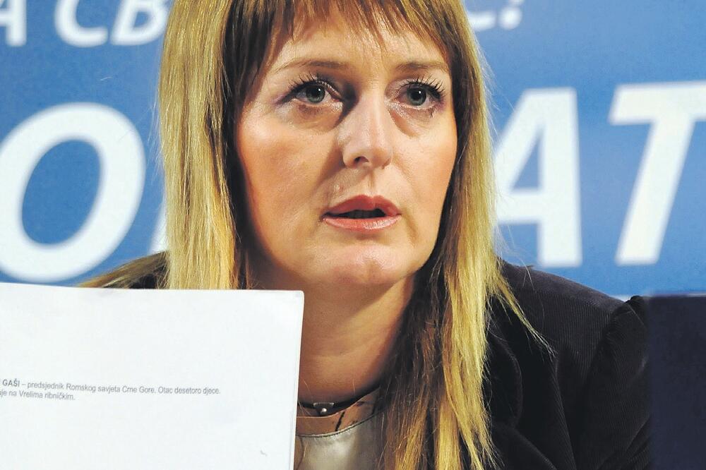 Branka Bošnjak (Novine)