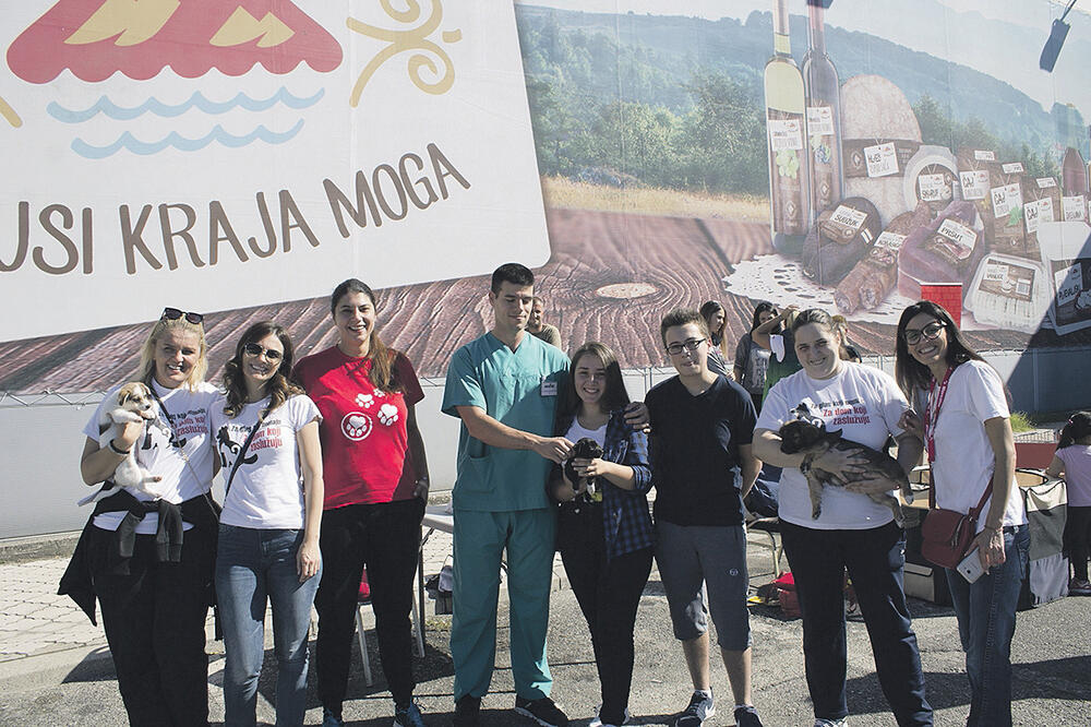 nvo Ruka šapi, Foto: IDEA