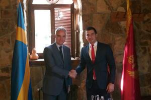 Bečić: Jedini lijek za Crnu Goru je da DPS ode u političku prošlost