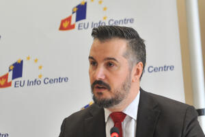 Pejović: Sporazum o stabilizaciji i pridruživanju sa EU ojačao...
