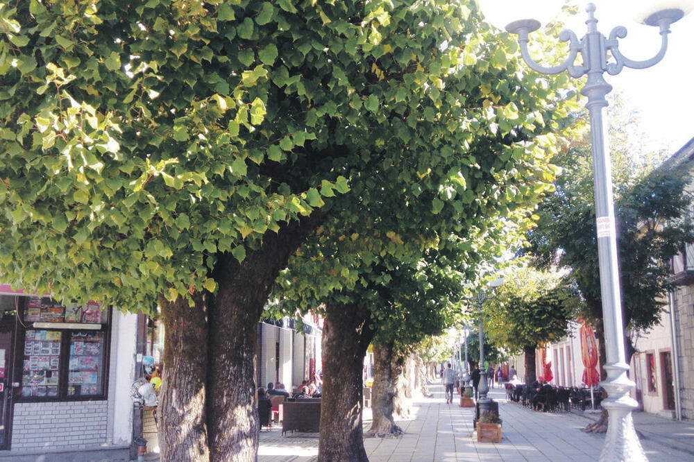 kOLAŠIN, Foto: Dragana Šćepanović