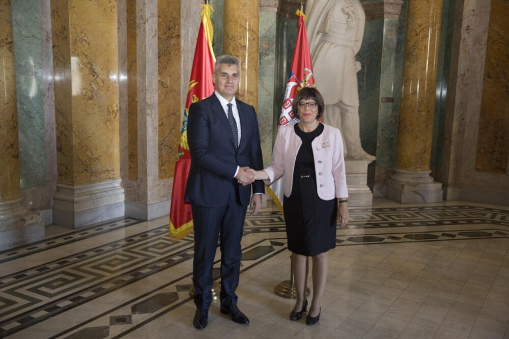 Ivan Brajović, Maja Gojković, Foto: Skupština.me