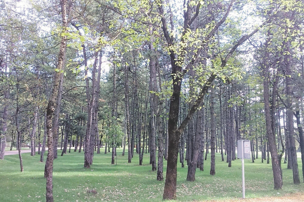 Avanturistički park Nikšić, Foto: Svetlana Mandić