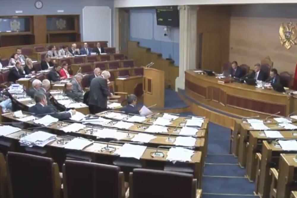 Skupština Crne Gore, Foto: Screenshot (YouTube)