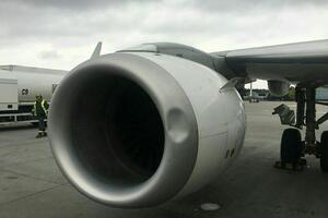 Pogledajte kako izgleda avion MA nakon udara ptice