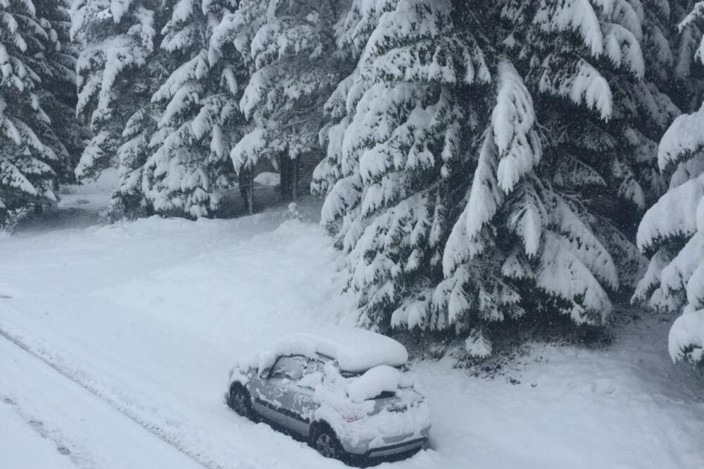 snijeg Žabljak, Foto: Filip Roganović