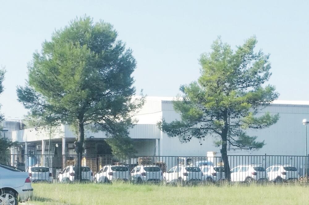 Nova vozila Plantaže, Foto: Privatna arhiva