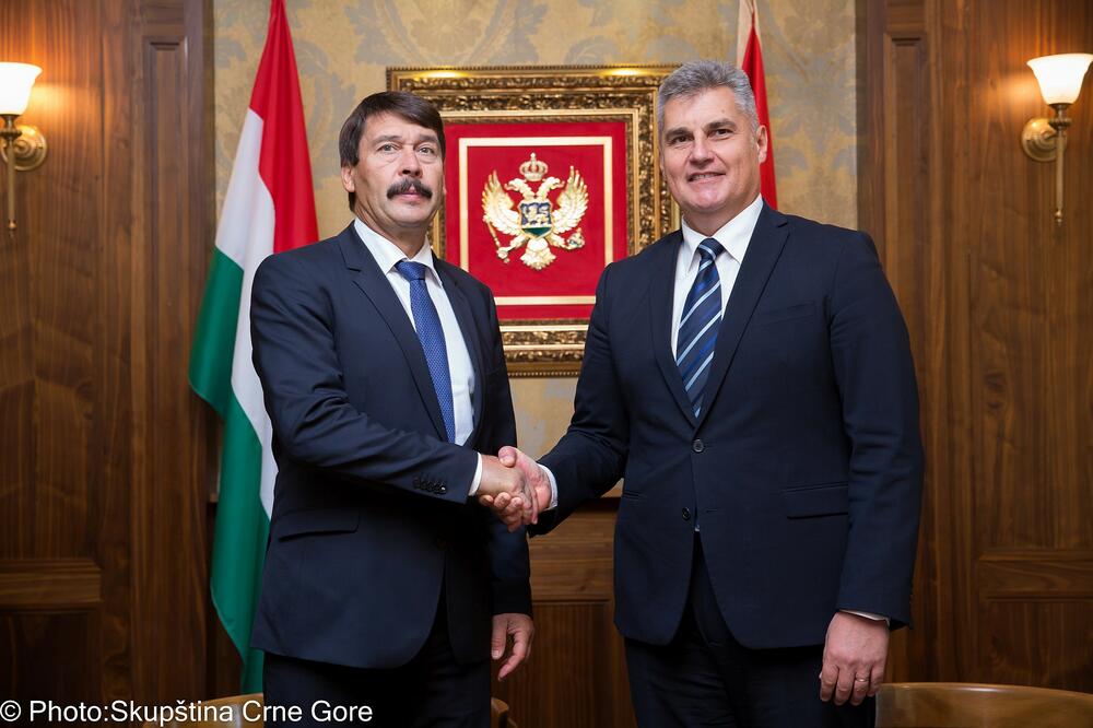 Janoš Ader Ivan Brajović, Foto: Skupština Crne Gore