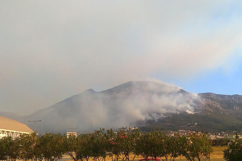 Šušanj požar, Foto: Radomir Petrić