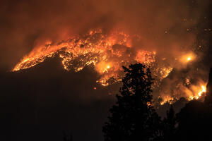 Poljak koji je zapalio šumu u Crnoj Gori moli predsjednika Dudu da...