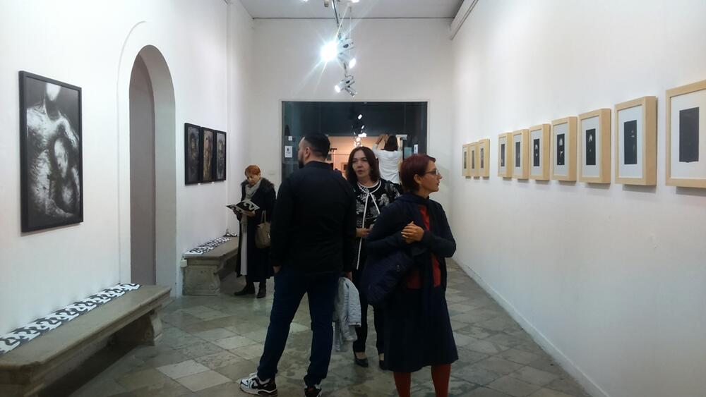 Izložba 2D, David Delibašić, Zdravko Delibašić