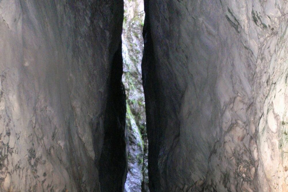 Nevidio, Foto: GSS CG