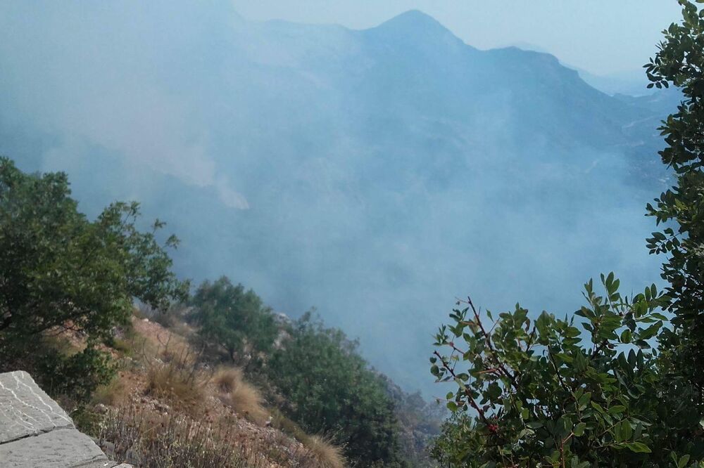 požar Petrovac, požar Budva, Foto: Služba zaštite i spasavanja Budva