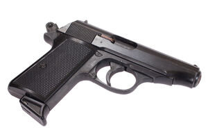 HN: Policija pronašla pištolj i municiju, protiv državljanina BiH...