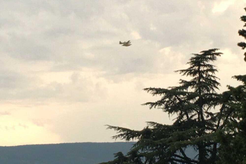 požar Bekovi, požar granica, Foto: Slavica Kosić